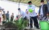 Tanam Pohon Kurma di MAJT, Jusuf Kalla Berharap Bisa Berbuah seperti di Timur Tengah
