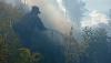 Hutan di Kawasan Gunung Ijen Terbakar, Diduga Karena Puntung Rokok