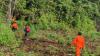 Ditunggu Makan Siang tapi Tak Kunjung Pulang, Petani di Luwu Timur Hilang di Hutan
