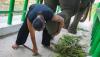 Begini Momen Pawang bersama Gajah di Taman Nasional Way Kambas - Bagian 5