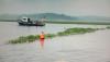 Usai 23 Wisatawan Terjebak di Waduk Jatiluhur, PJT II Bersihkan Eceng Gondok