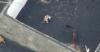 Drone Bakal Digunakan untuk Selamatkan 4 Anjing yang Terperangkap Lava Vulkanik