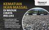 Kematian Ikan Massal di Waduk Cirata Meluas ke Purwakarta dan KBB