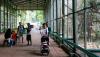 Anak Usia di Bawah 12 Tahun Boleh Masuk Ragunan, Begini Suasananya