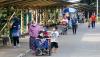 Anak Usia di Bawah 12 Tahun Boleh Masuk Ragunan, Begini Suasananya - Bagian 4