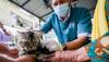 Masyarakat Mulai Peduli Vaksin Rabies Hewan Peliharaan - Bagian 1