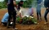 Tanam Ganja di Kebun Kopi, Petani dan Anaknya di Empat Lawang Ditangkap Polisi  