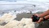 Pantai Ulee Lheu Banda Aceh Tercemar Batu Bara