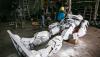 Warga Bantul Buat Robot dari Limbah Otomtif, Dijual ke Jerman hingga Rp85 Juta - Bagian 2