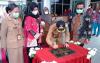 Bupati Bangka Resmikan 2 Puskesmas Pariwisata di Kabupaten Bangka 