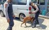 Keren, Anjing Pelacak di WSBK Mandalika Bisa Deteksi Barang Penonton yang Hilang