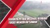 Video Serunya Petani Milenial di Semarang Berbagi Tugas Mengolah Sawah