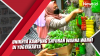 Video Uniknya Kampung Sayuran Warna Warni di Yogyakarta
