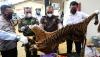 Penampakan Kulit Harimau Sumatera Dibakar - Bagian 2