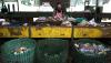 Bisnis Pengolahan Sampah Pantai Muncar - Bagian 2