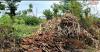 Viral Kejadian Aneh Batu Candi Majapahit Muncul di Ladang Jagung, Ini Penampakannya   