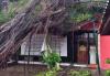 Sorong Diamuk Hujan Badai, Sejumlah Rumah dan Kendaraan Rusak Tertimpa Pohon Tumbang