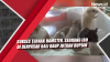 Video Sukses Ternak Hamster, Seorang Ibu di Denpasar Bali Raup Jutaan Rupiah