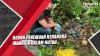 Heboh Penemuan Kerangka Manusia dalam Hutan di Pontianak