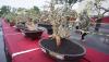 229 Tanaman Bonsai Dipamerkan di GOR Lembupeteng - Bagian 1