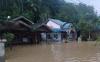 Diguyur Hujan Lebat, 101 Rumah di Penajam Paser Utara Kaltim Terendam Banjir