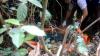 Ini Motif Pria di Aceh Besar Tega Bunuh dan Buang Mayat Mantan Istri di Hutan