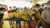Pameran Reptil di Batam Edukasi Masyarakat untuk Cinta kepada Hewan - Bagian 1