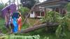Puting Beliung Terjang 2 Desa di Sukabumi, Puluhan Rumah Porak-poranda