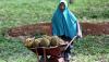 Hutan Ini Terkenal Daerah Penanaman Ganja, Kini Subur hingga Panen Durian - Bagian 1