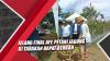 Jelang Final Piala AFF, Petani Jagung di Tarakan Dapat Berkah