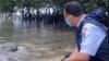 Lepas Penyu di Pulau Sebira, Anies: Yang Itu Namanya Lestari