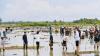 Dubes Negara Sahabat Terkesan Diajak Jokowi Tanam Mangrove, Sempat Berbincang di Saung Kayu