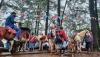 Kawasan Wisata Pohon Pinus Malino Dipadati Wisatawan - Bagian 1