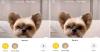 TikTok Uji Tombol Repost , Percepat Pengguna Berbagi Klip dengan Teman