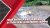 Video Parah, Kubangan Mirip Kolam Ikan di Tengah Jalan Lintas Provinsi Lampung