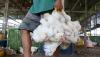 Harga Ayam Potong di Padang Naik Menjadi Rp32.000 per Kilogram