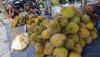 Musim Durian Kasongan Khas Kalimantan Tengah, Harga Jual Mulai Rp20.000 - Bagian 1