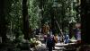 Mengisi Libur Akhir Pekan ke Wana Wisata Lereng Gunung Lawu - Bagian 3