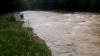 Seberangi Sungai Bareng 3 Sapi, Warga Way Kanan Hilang Terseret Arus