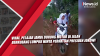 Video Viral, Pelajar Jambi Dorong Motor di Jalan Berkubang Lumpur Minta Perhatian Presiden Jokowi