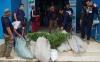 BNN Temukan Bonsai Ladang Ganja di Lereng Curam Bukit Barisan Empat Lawang