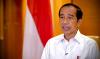 Jokowi Ajak REI Berpartisipasi dalam Pembangunan IKN di Kaltim