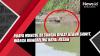 Video Buaya Muncul di Sungai Dekat Kebun Sawit, Warga Mandailing Natal Resah