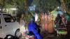 Pohon Mahoni Diameter 120 Cm di Sukaraja Sukabumi Tumbang, Lalu Lintas Sempat Macet
