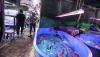 Mengunjungi Surga Tersembunyi Pasar Ikan Hias Sumenep - Bagian 4