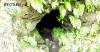 Merinding, Ditemukan Gua Misterius di Hutan, Malam Menyala seperti Api dan Jadi Sarang Ular