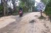 Protes Jalan Rusak Warga Bantul Tanam Pohon Pisang