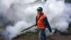 Pengasapan Cegah Penyebaran Nyamuk Aedes Aegypti Penyebab DBD - Bagian 2