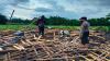 Berteduh saat Hujan, Bocah di Sragen Tewas Tertimpa Kandang Roboh 