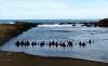 Gelar Ritual di Pantai Selatan Jember, Rombongan asal Nganjuk Dibubarkan Petugas
